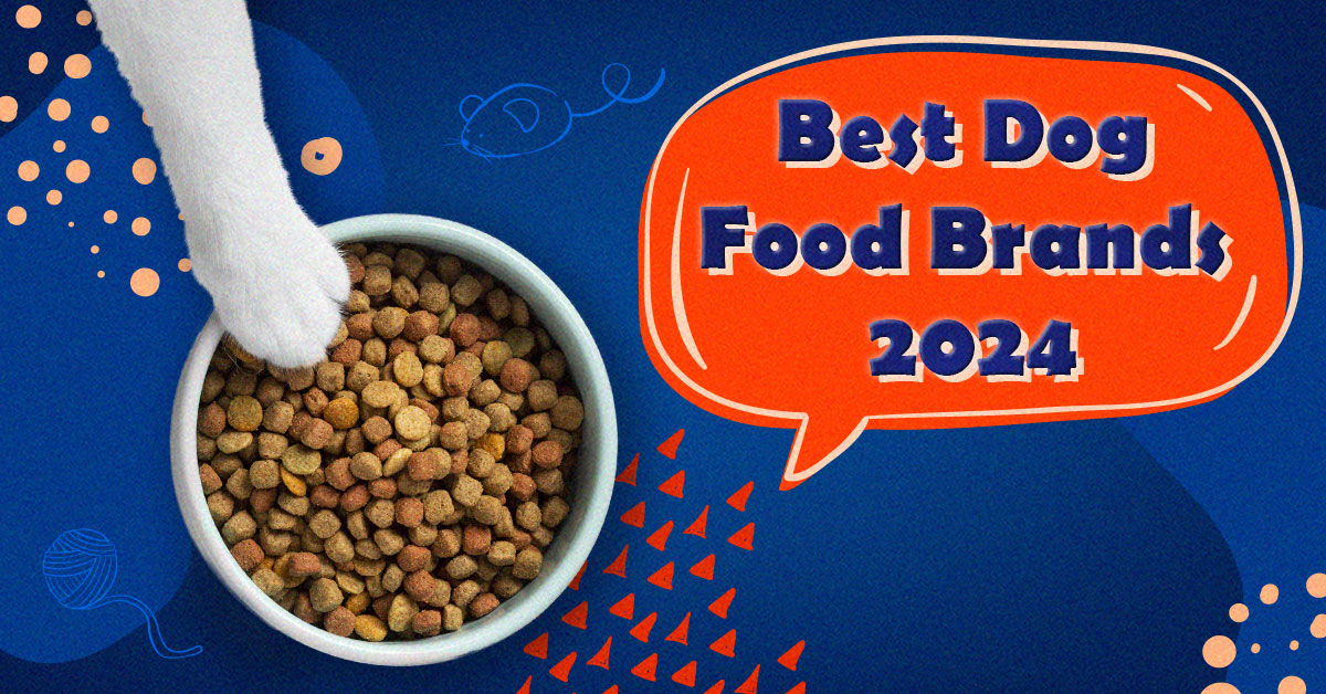 Decoding the Dog Bowl Unveiling the Best Dog Food Brands in 2024